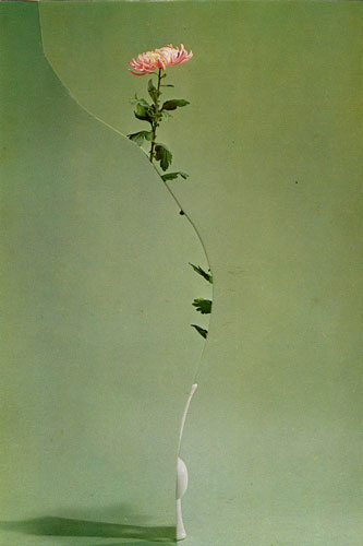 Nicola Kloosterman collage